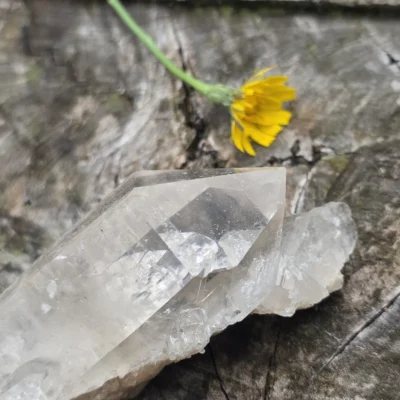 Cuarzo maestro grávido natural de 113 gramos con una punta de cuarzo crecida en su interior