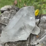 Cuarzo maestro grávido natural de 308 gramos con una punta interior recorriendo el eje