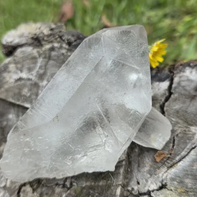 Cuarzo maestro grávido natural de 308 gramos con una punta interior recorriendo el eje