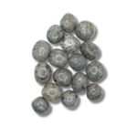 Rodados de roca gris verdosa moteada, con parches rosados anaranjados y motas negras repartidas por la superficie.